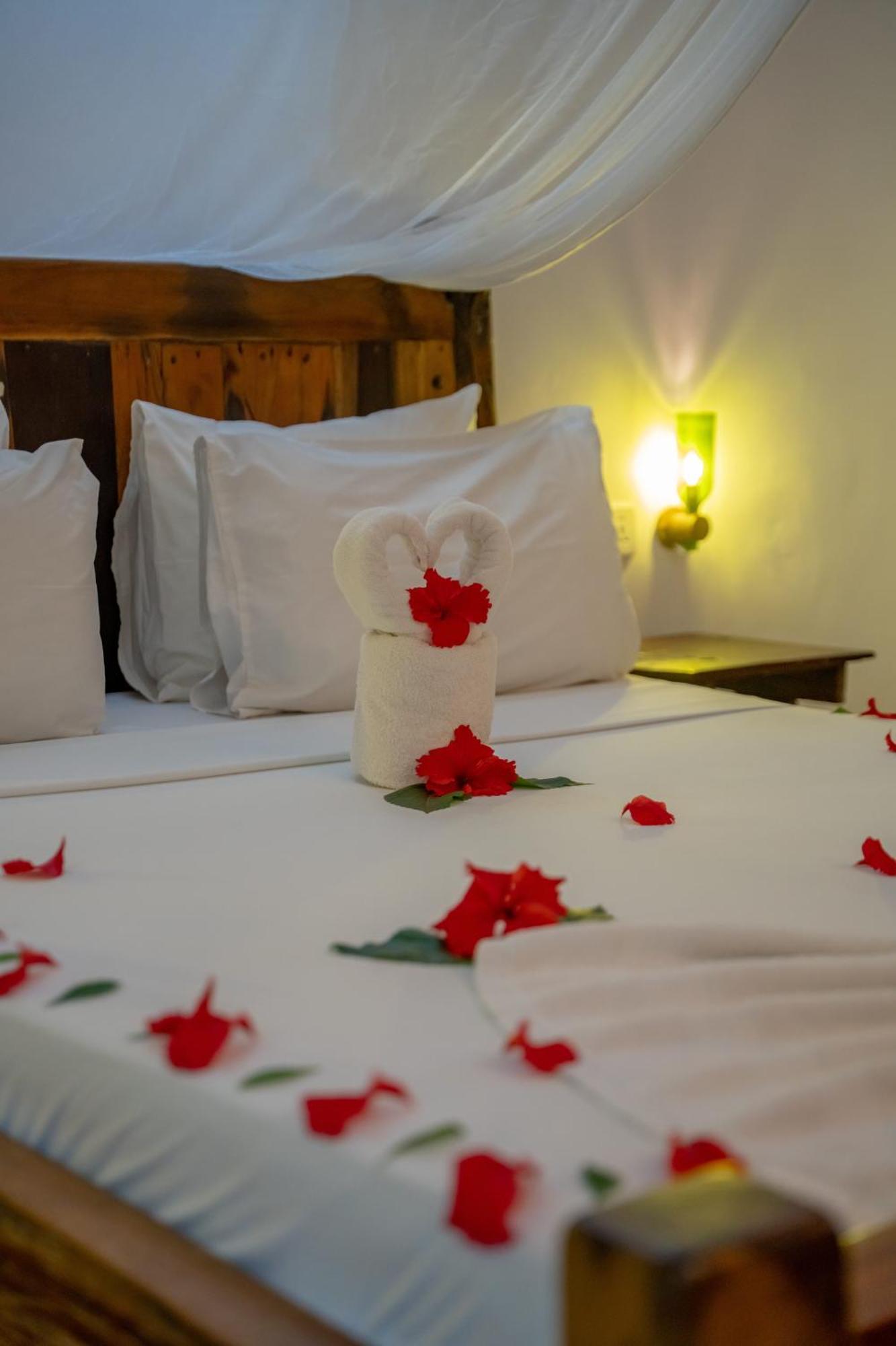 Maisha Nungwi - Boutique Hotel المظهر الخارجي الصورة