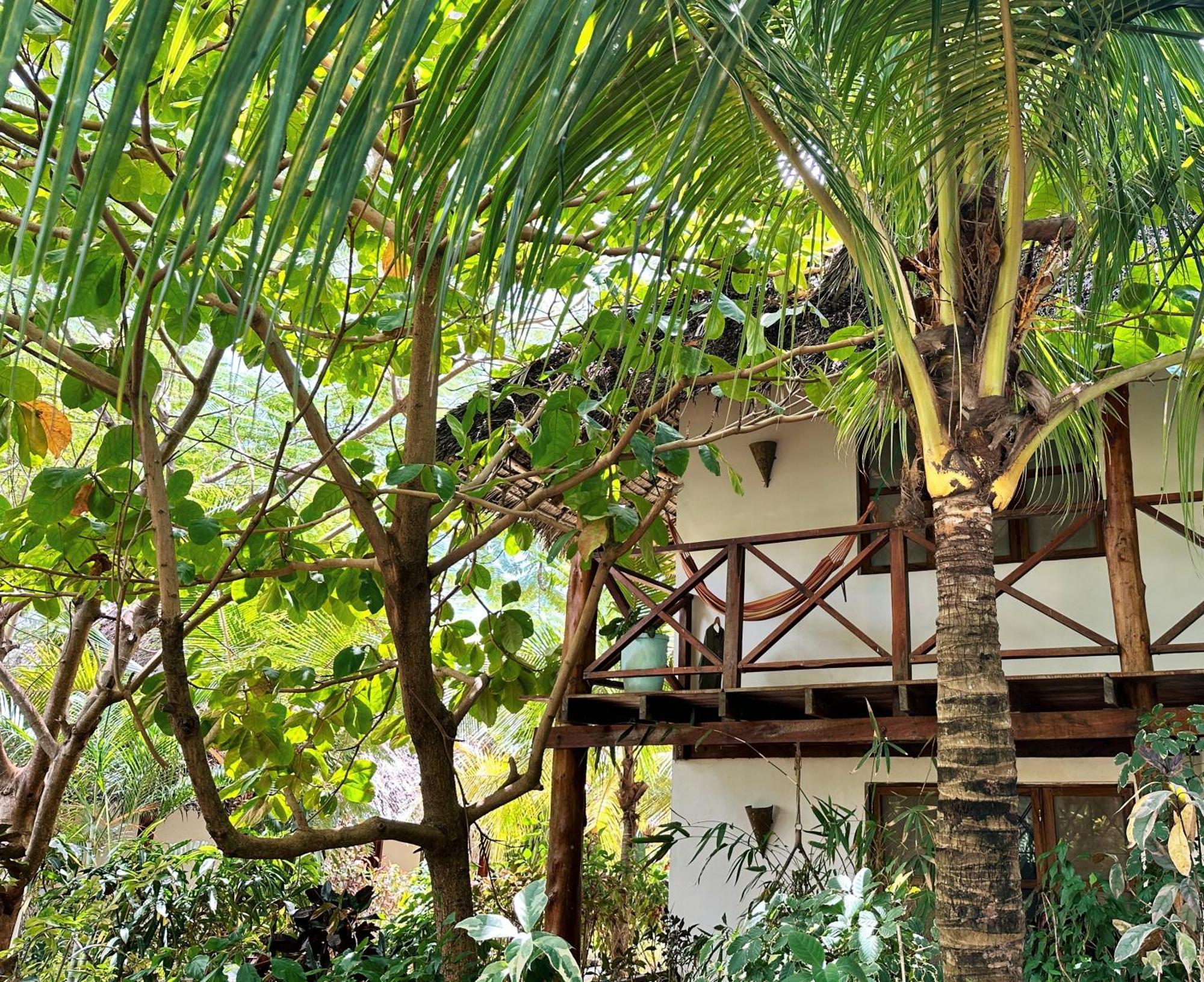 Maisha Nungwi - Boutique Hotel المظهر الخارجي الصورة