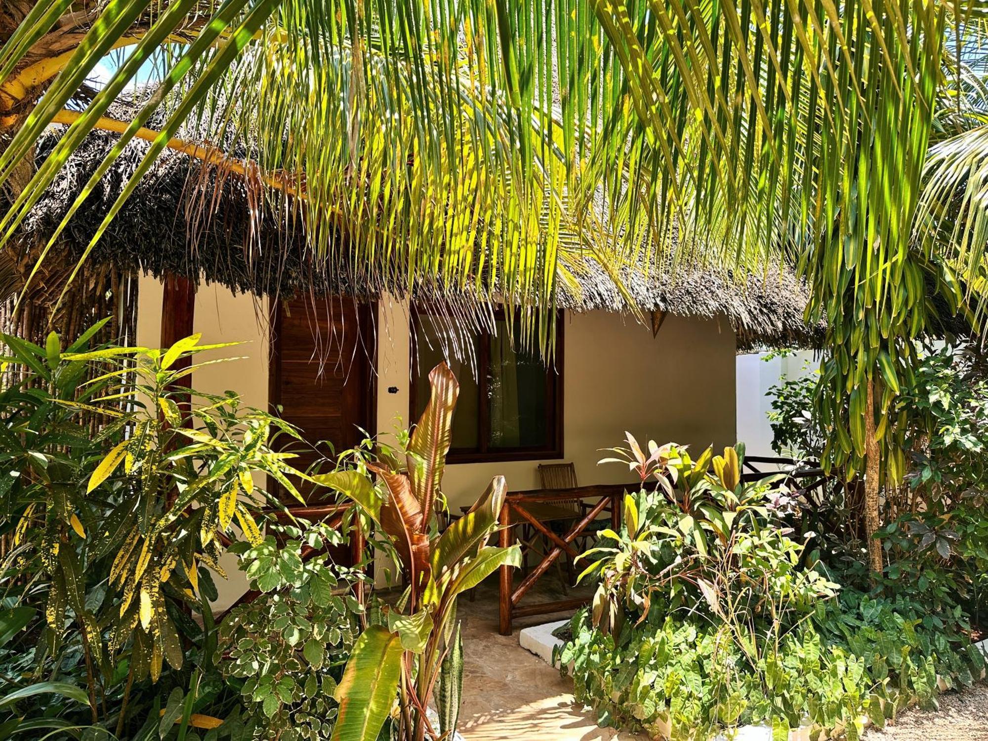 Maisha Nungwi - Boutique Hotel المظهر الخارجي الصورة